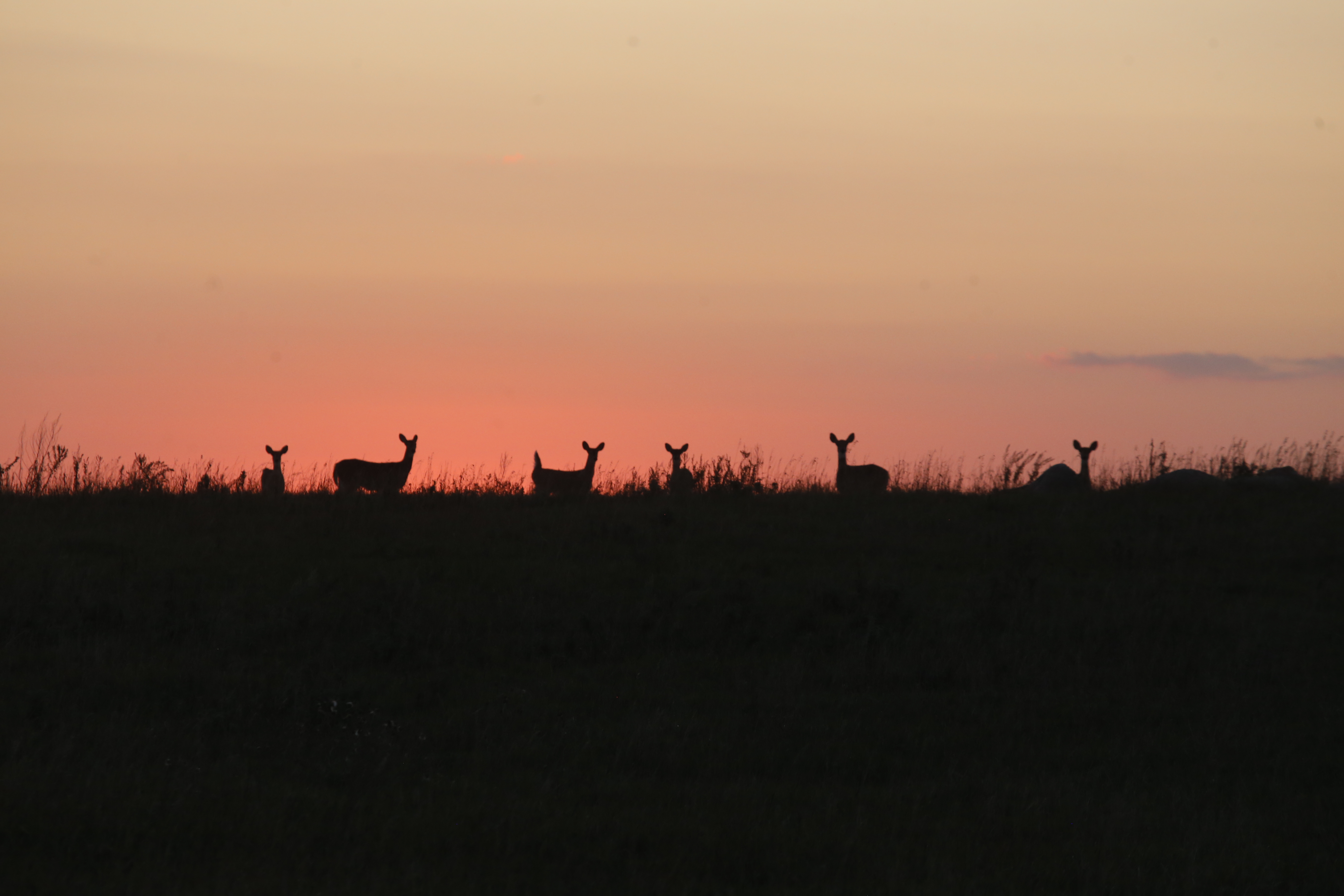 Public access fight draws state of South Dakota into court with townships - Vimarsana News