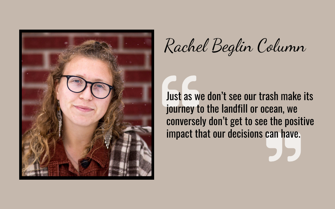 RACHEL BEGLIN COLUMN: The only thing that will save our environment is optimism - Vimarsana News