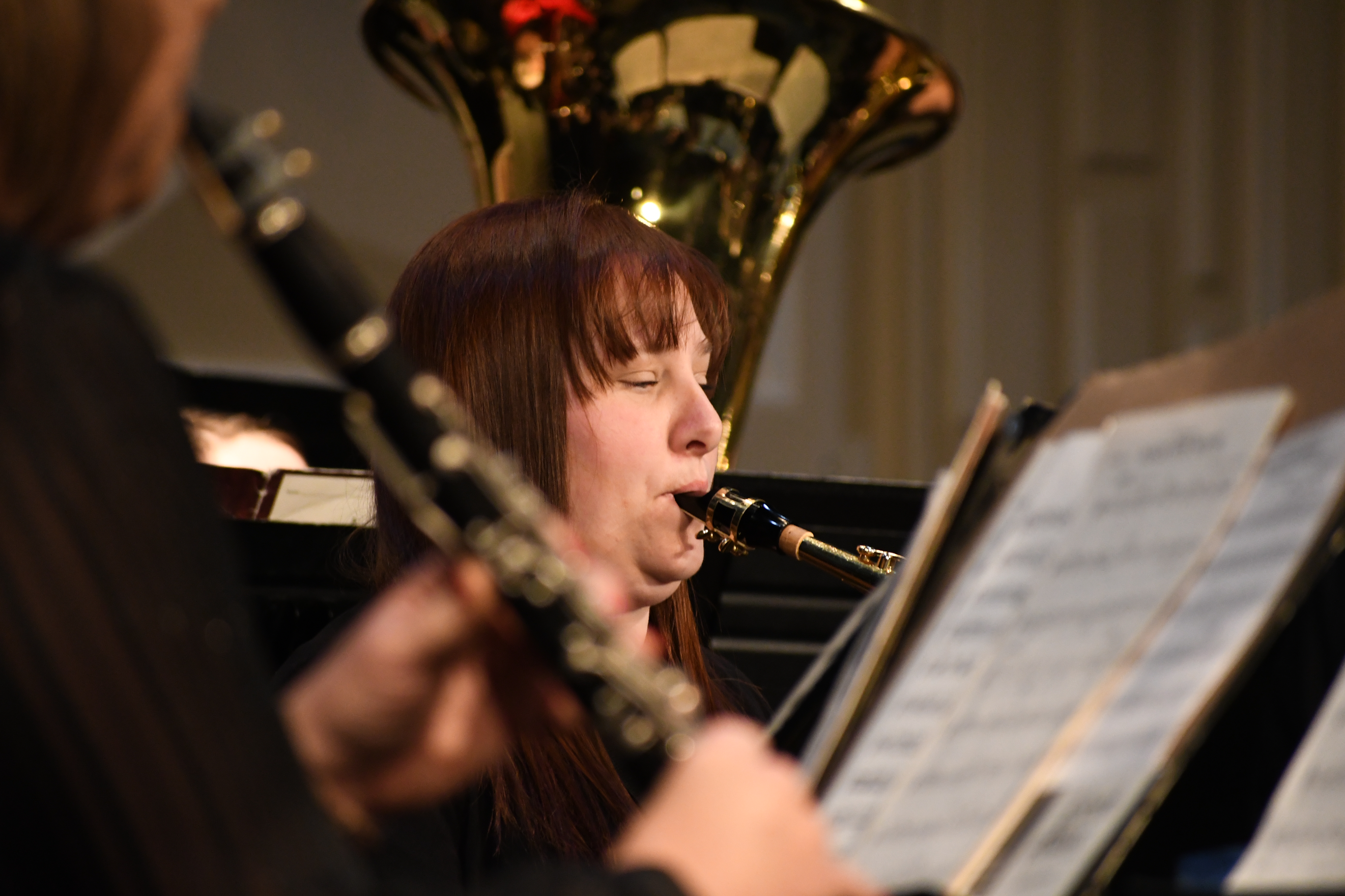 Dickinson City Band tunes up for spring concert - Vimarsana News