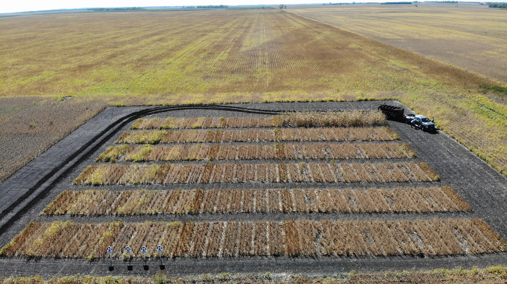 NDSU soybean production update set for Jan. 25 - Vimarsana News