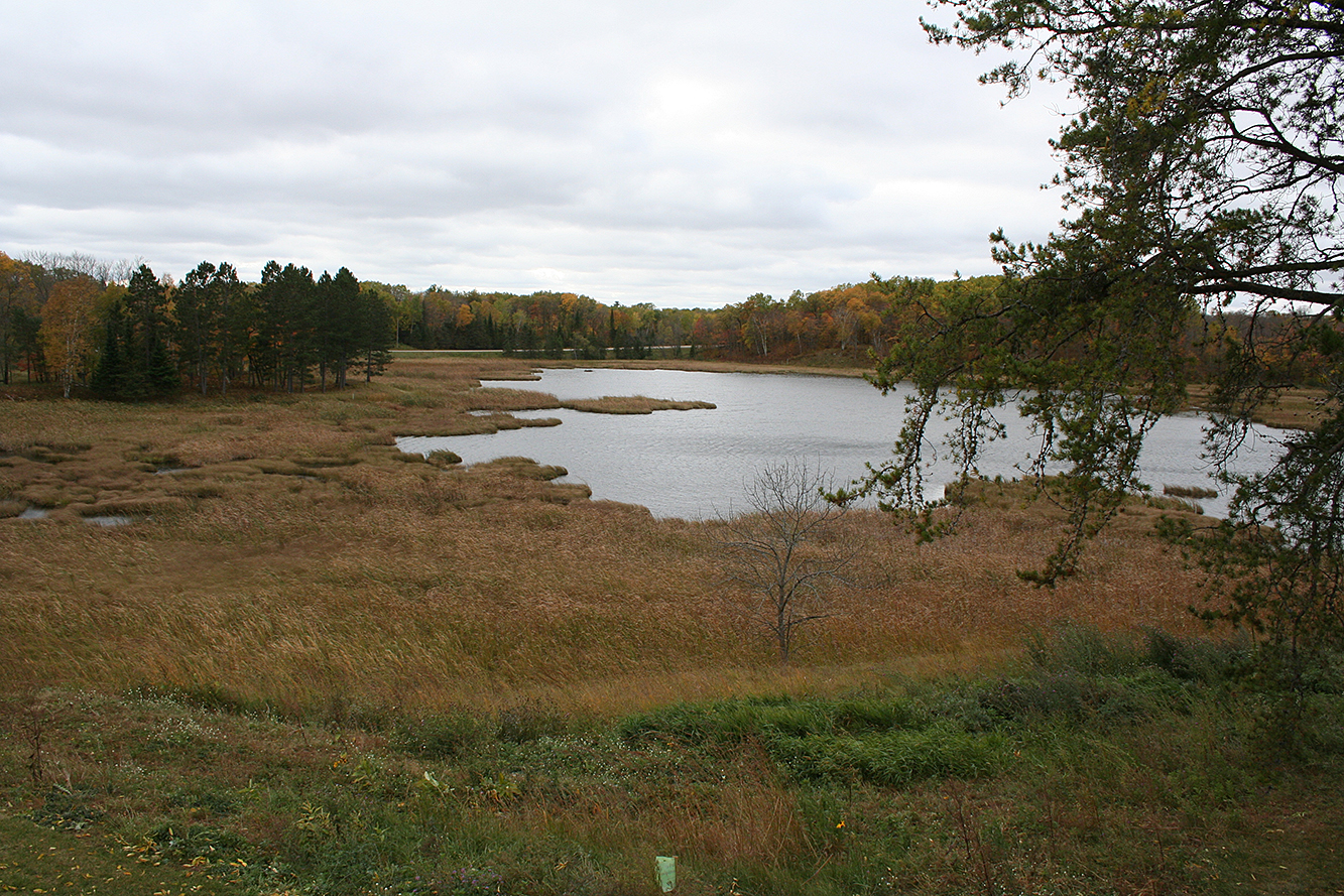 Happenings around the lakes area, Sept. 17-28 - Vimarsana News