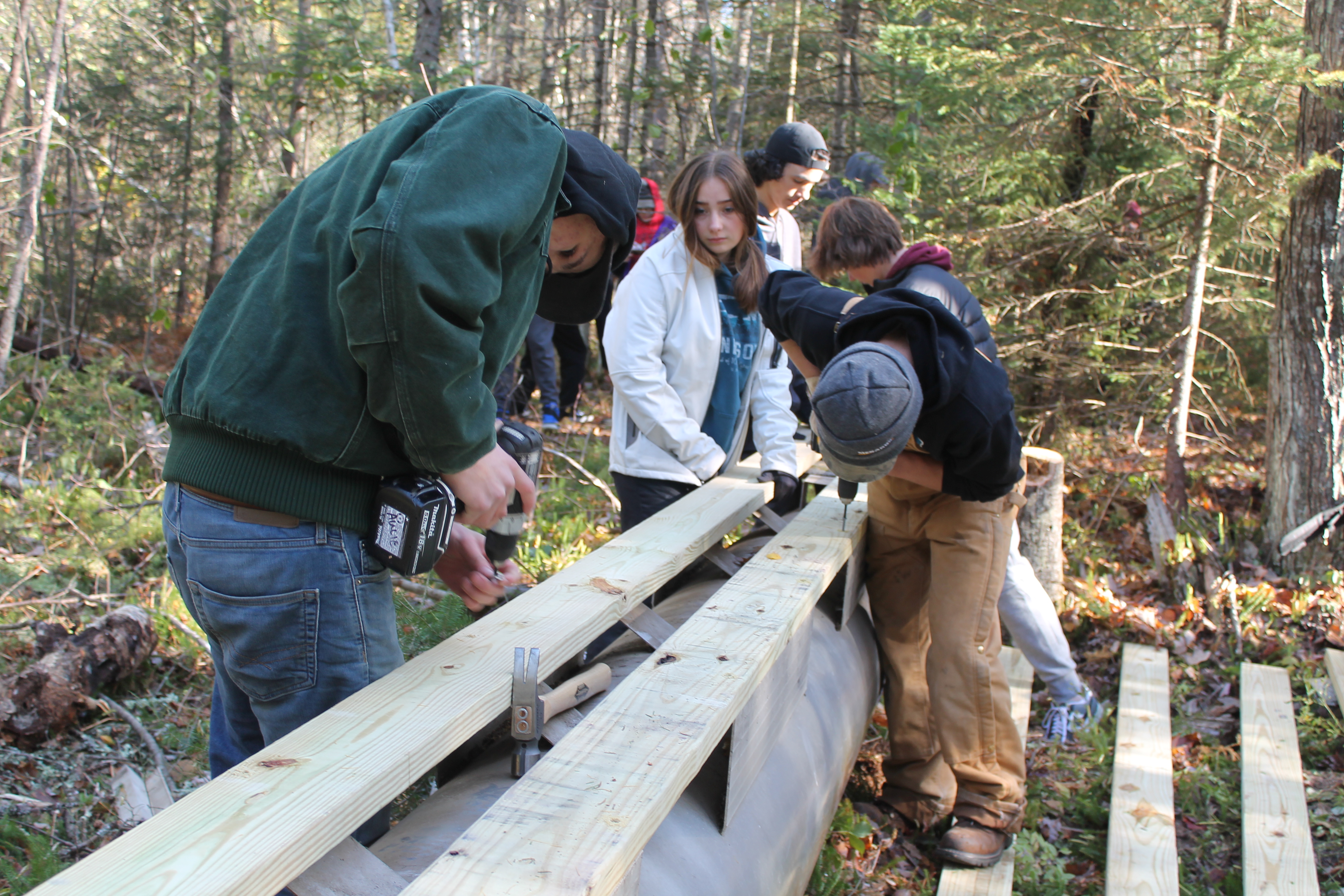 Superior's school forest under construction - Vimarsana News