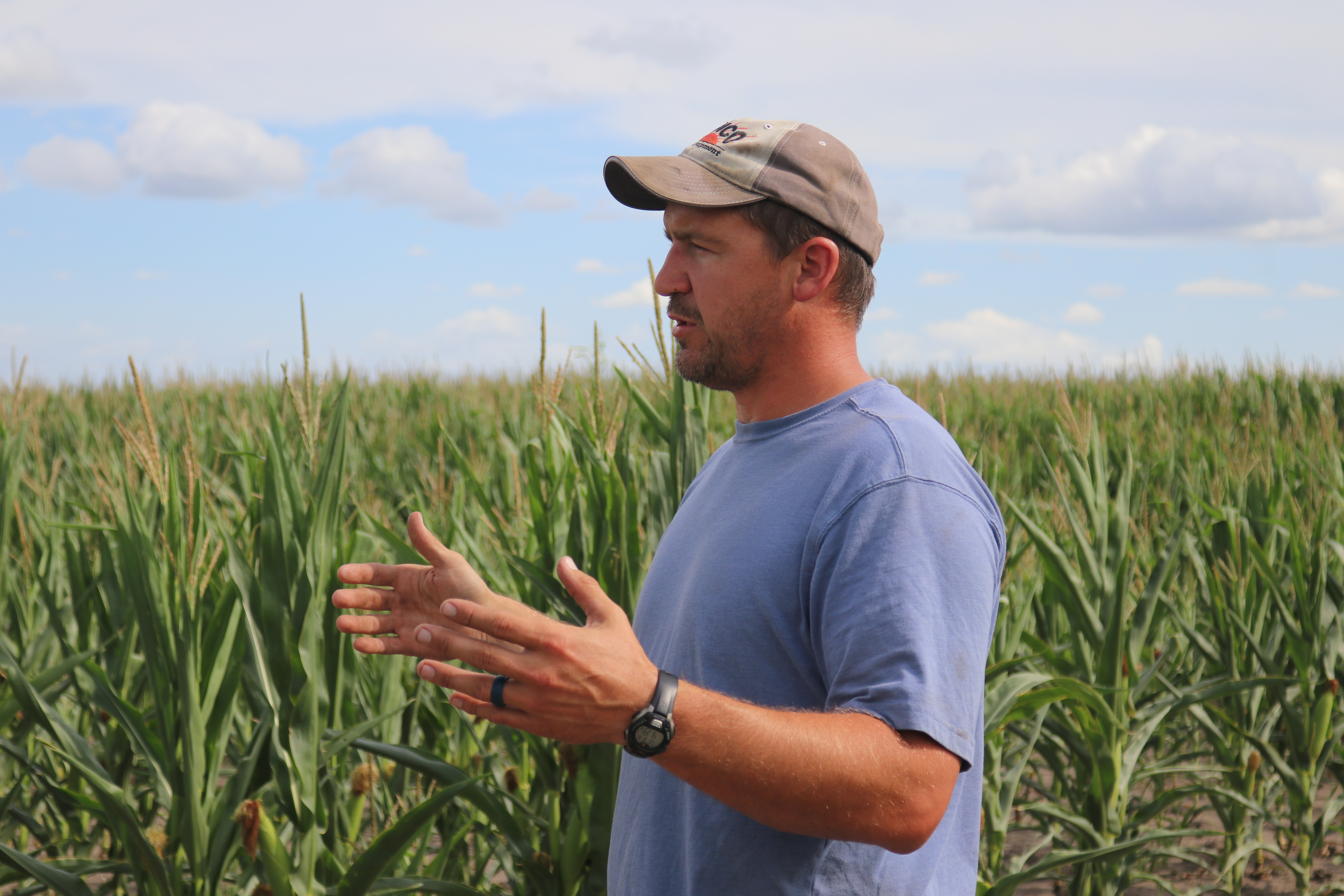 Southeastern North Dakota corn crop keeping steady, despite late planting - Vimarsana News