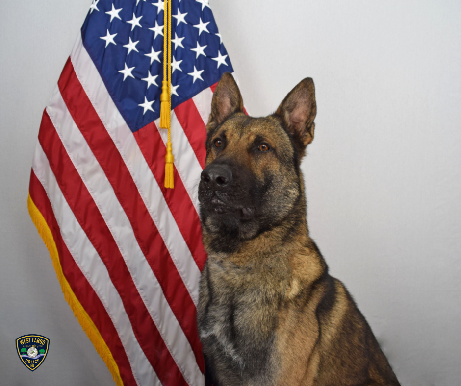 West Fargo Police adds new addition to K-9 Unit - InForum | Fargo, Moorhead and West Fargo news, weather and sports - Vimarsana News