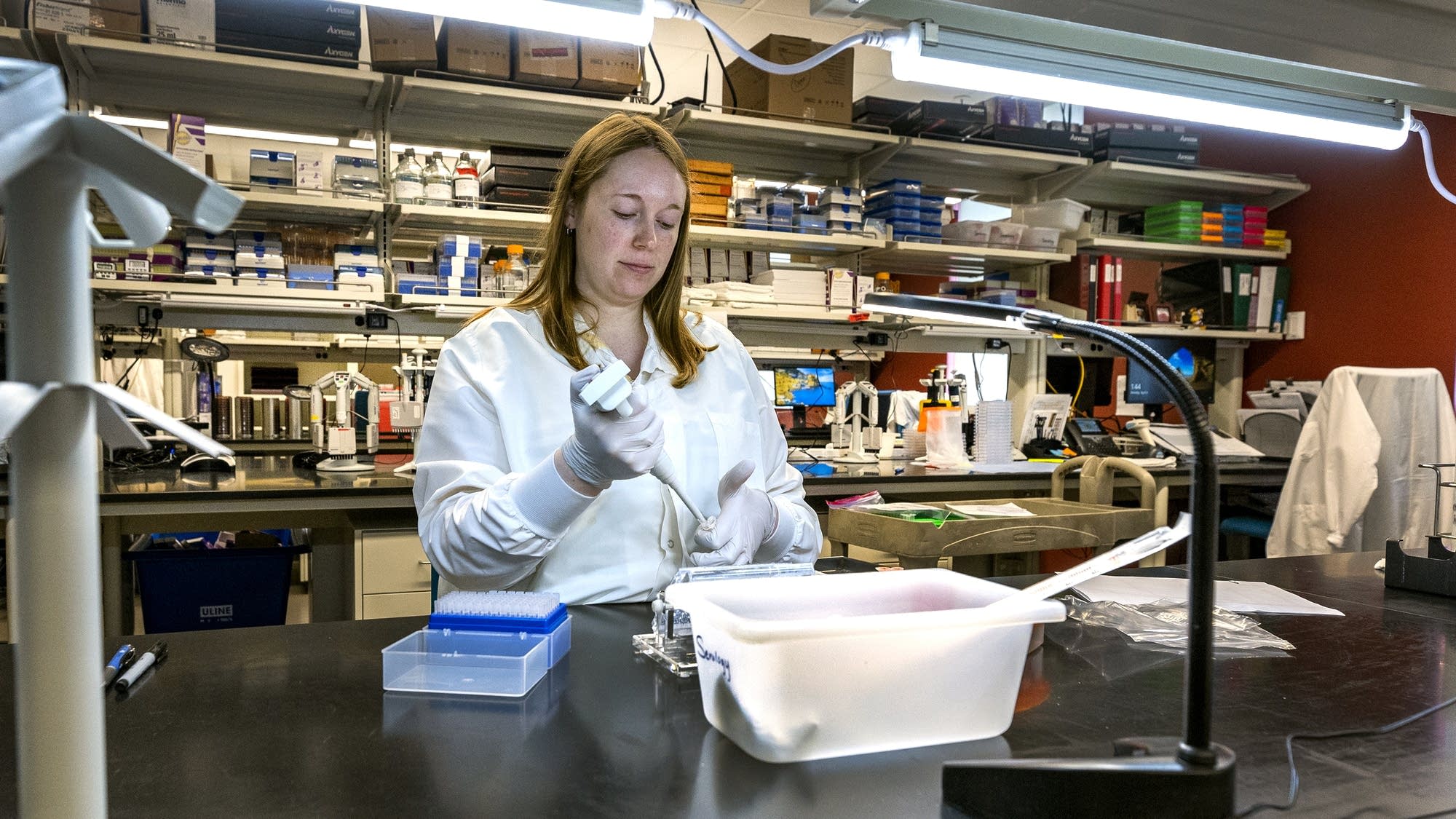 'A lot at risk': Expanded Minnesota lab plays key role in tracking bird flu - InForum | Fargo, Moorhead and West Fargo news, weather and sports - Vimarsana News