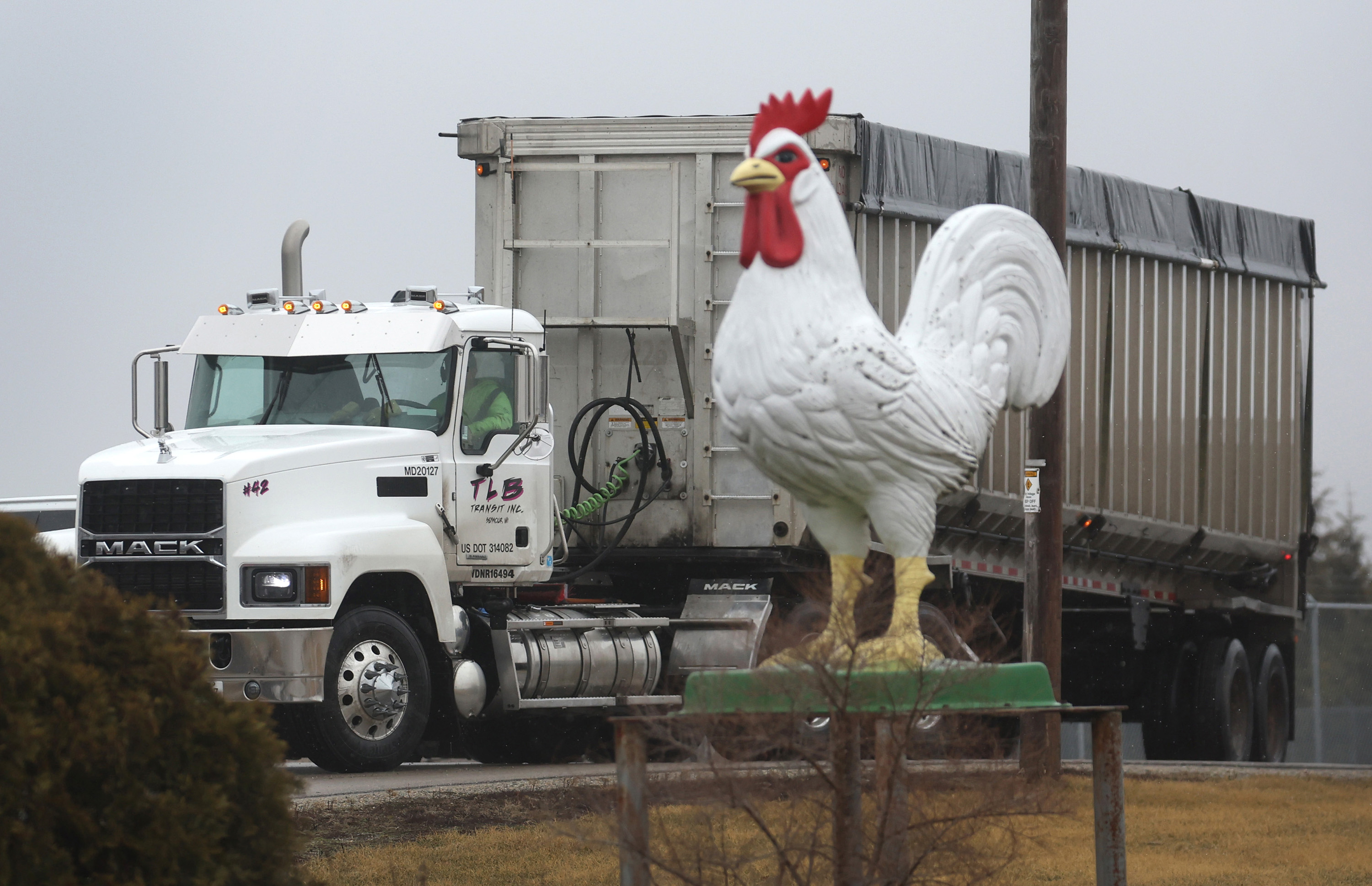 Tom Daschle and Susan Brooks: The dangerous thread connecting avian flu, COVID-19 and the war in Ukraine - Vimarsana News