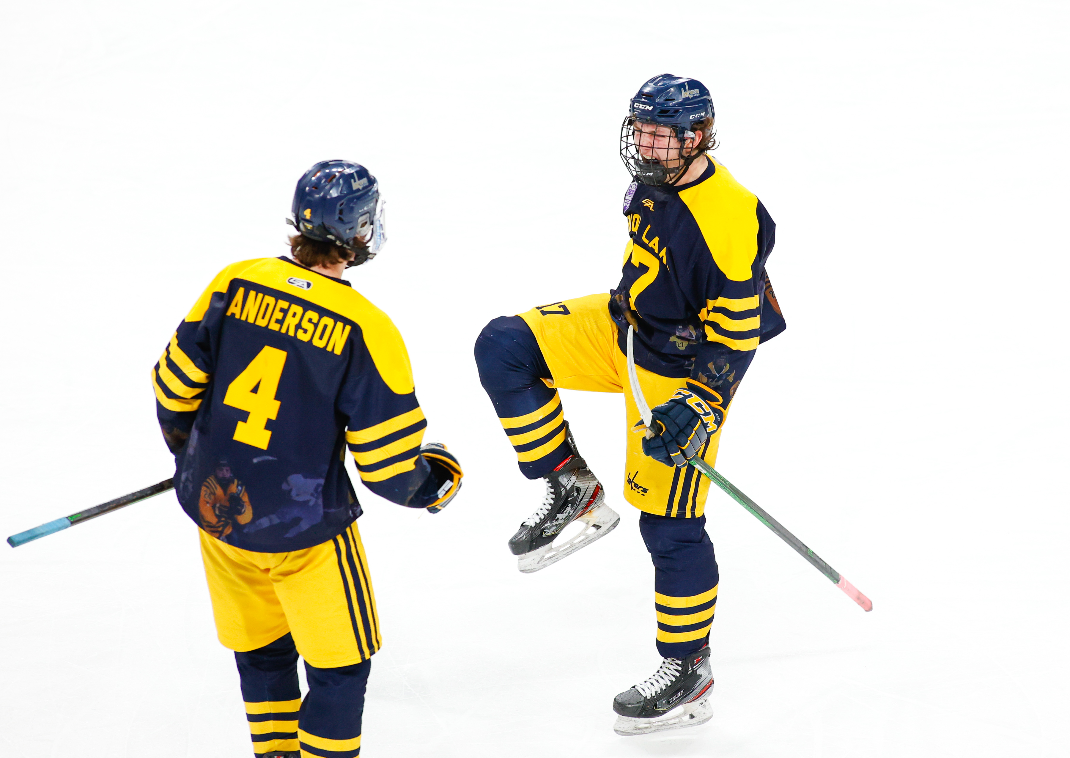 Dozens of players from Minnesota and North Dakota tendered by NAHL organizations - Vimarsana News