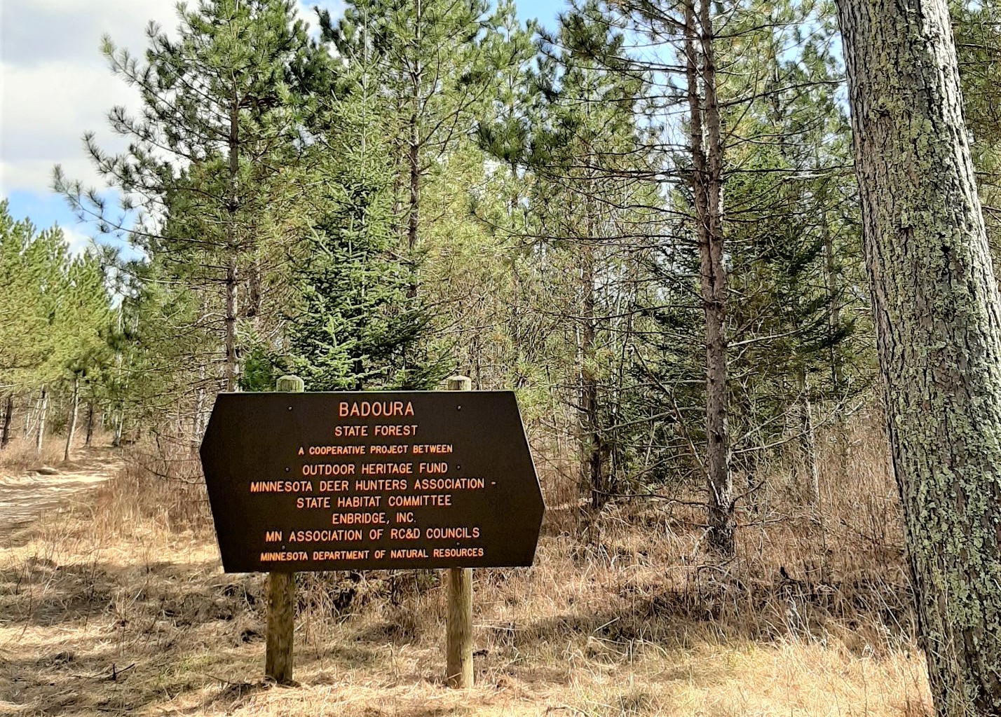 Minnesota Deer Hunters president concerned, hopeful over future of hunt - Vimarsana News