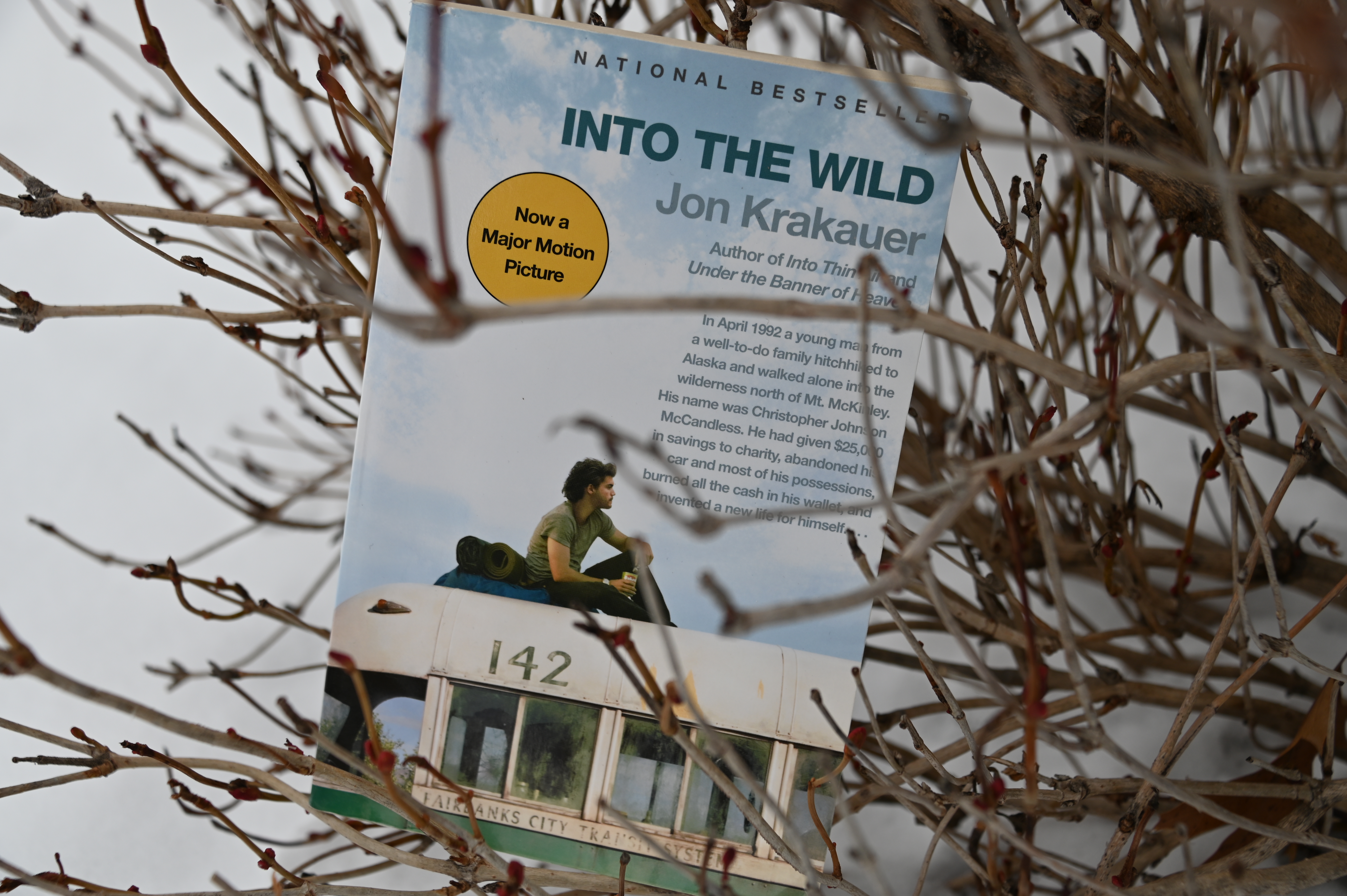 Bourke's Bookshelf: 'I now walk into the wild' - Brainerd Dispatch | News, weather, sports from Brainerd and Baxter - Vimarsana News
