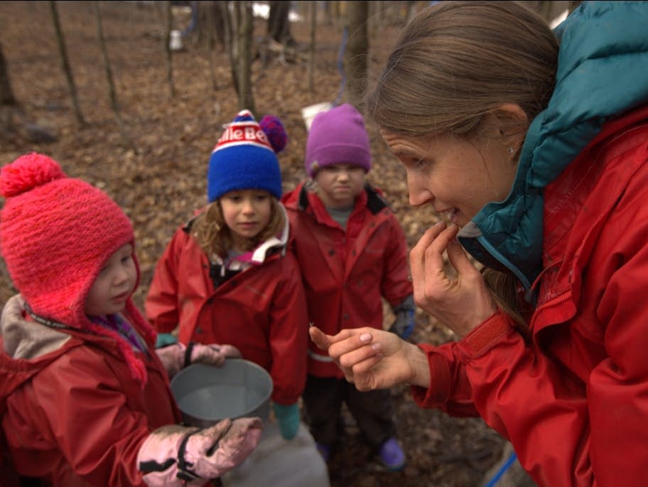 Preschool moves from the classroom to the forest - Vimarsana News