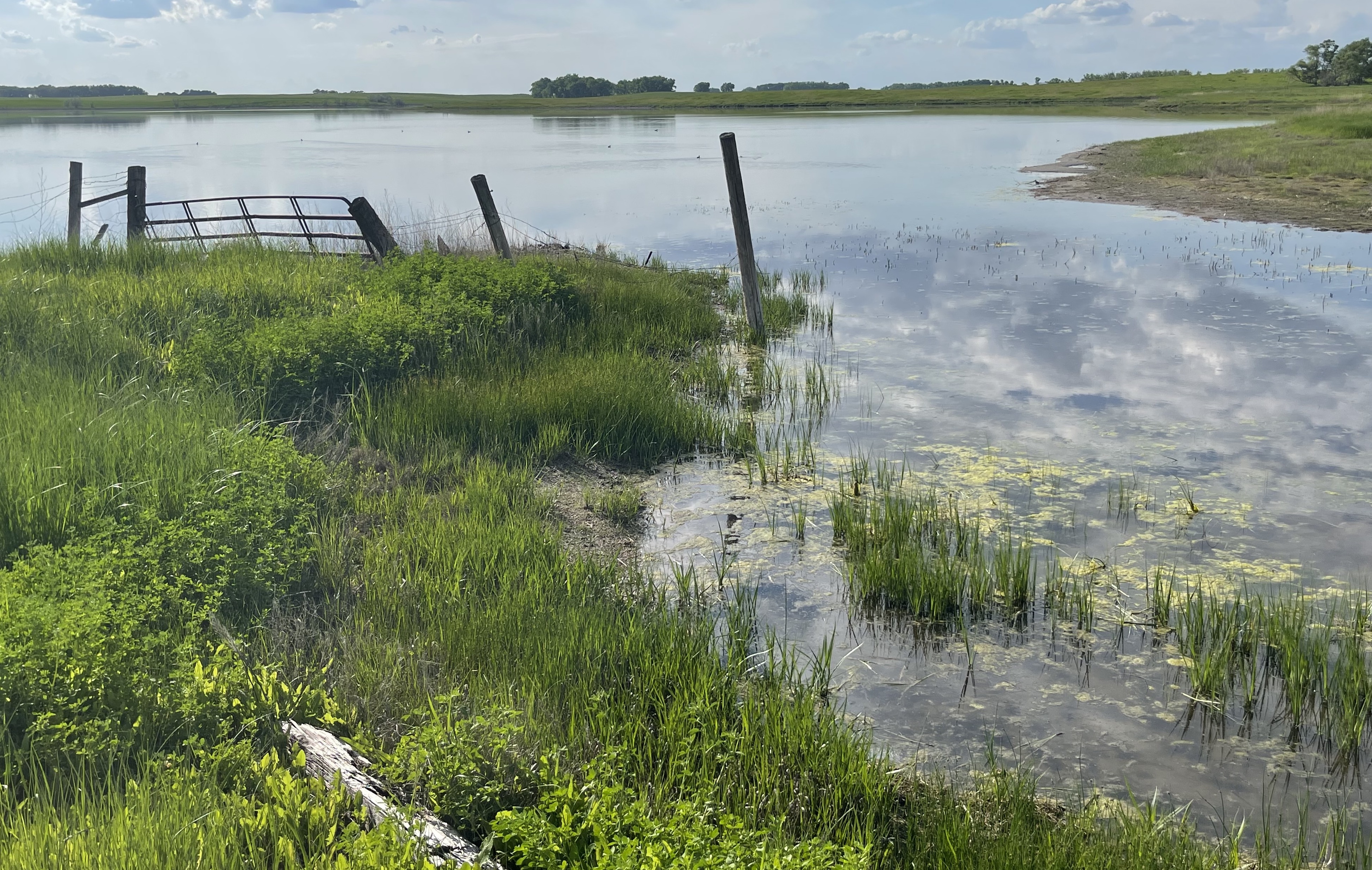 Wet weather forcing South Dakota farmers to delay or cut back on planting of crops - Vimarsana News