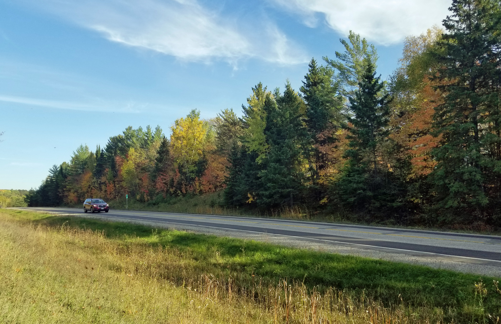 Some tree removal on scenic byway slated for January - Vimarsana News