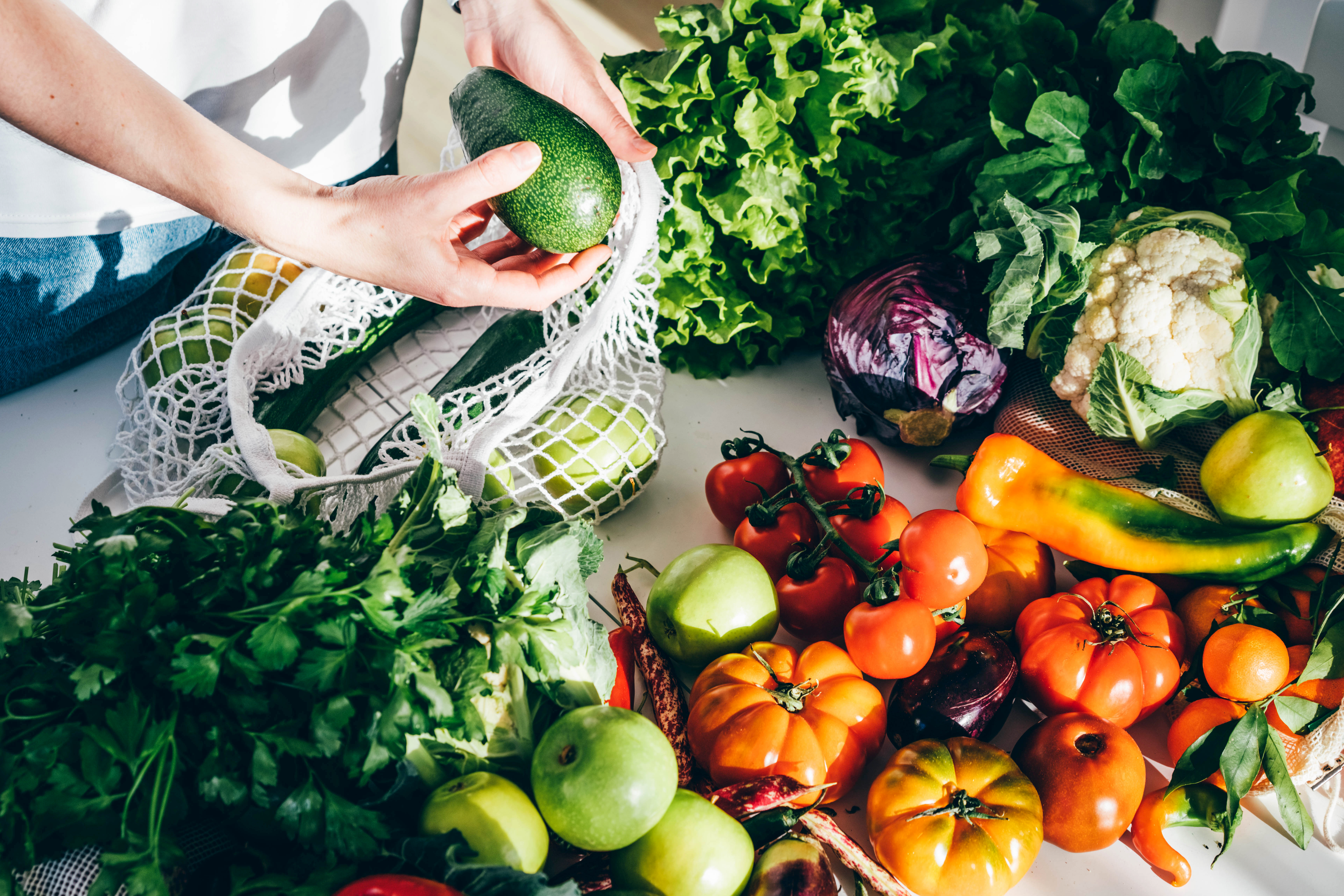 Tech Savvy: From food waste to soil in hours with a little technology - Vimarsana News