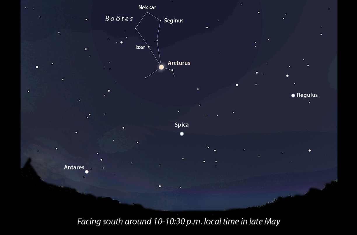 Astro Bob: Meet Boötes, the ice cream cone constellation - Vimarsana News
