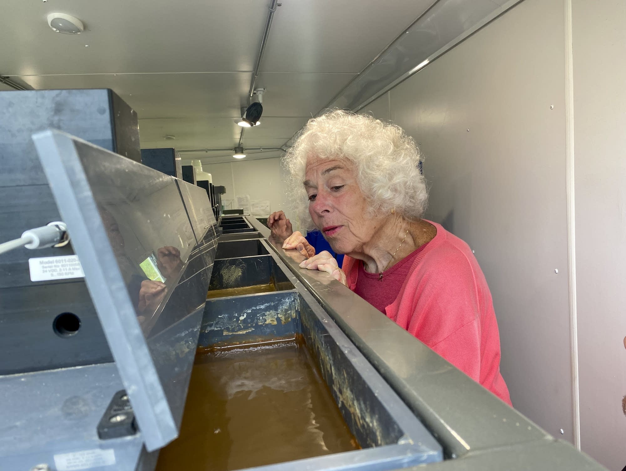 Northern Minnesota researchers close in on sulfate pollution solution - Vimarsana News