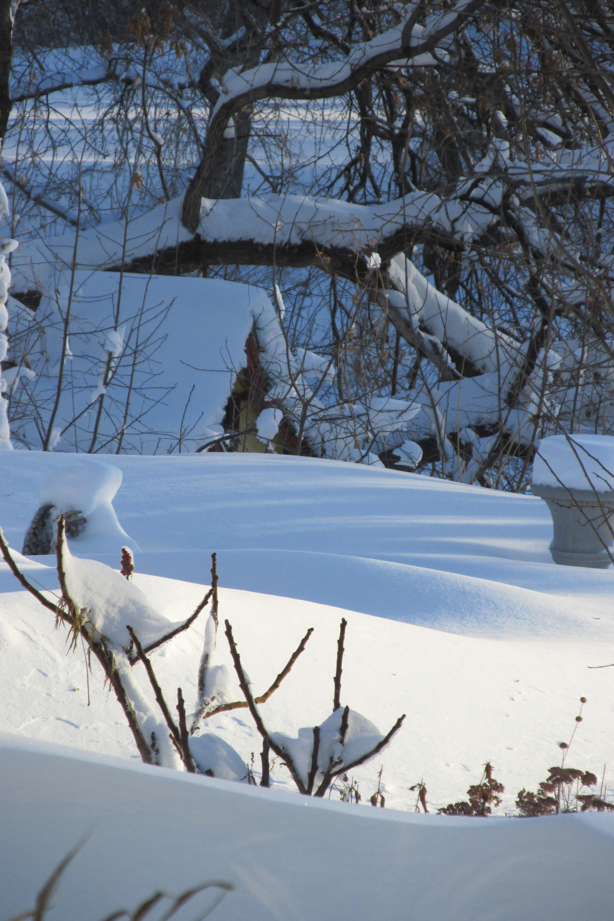 Within that blanket of snow is spring's moisture - Vimarsana News