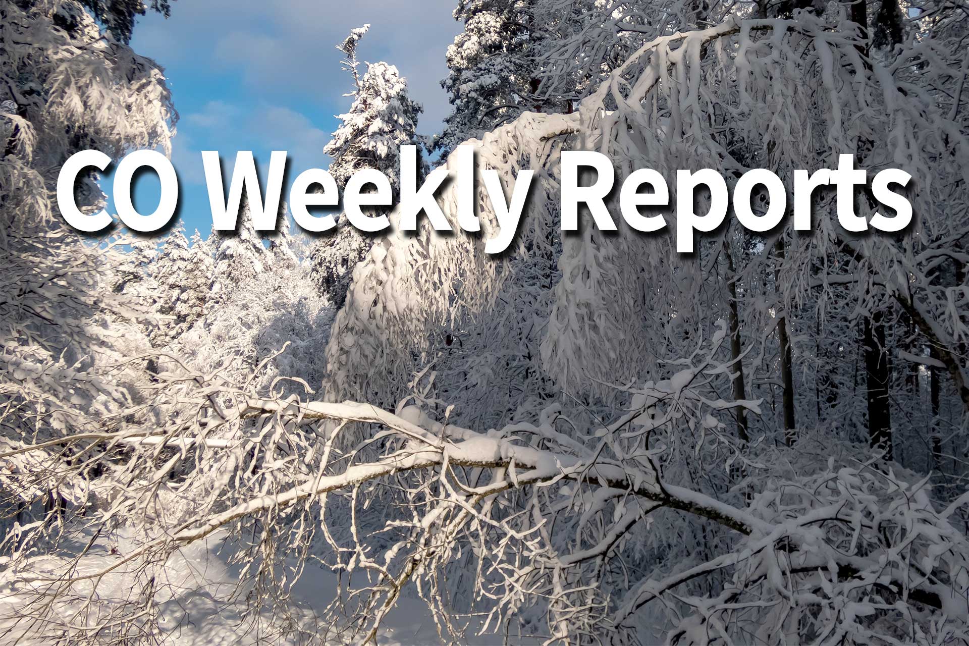 CO Reports: Many snowmobile trails still closed - snow, cold impact activities - Vimarsana News