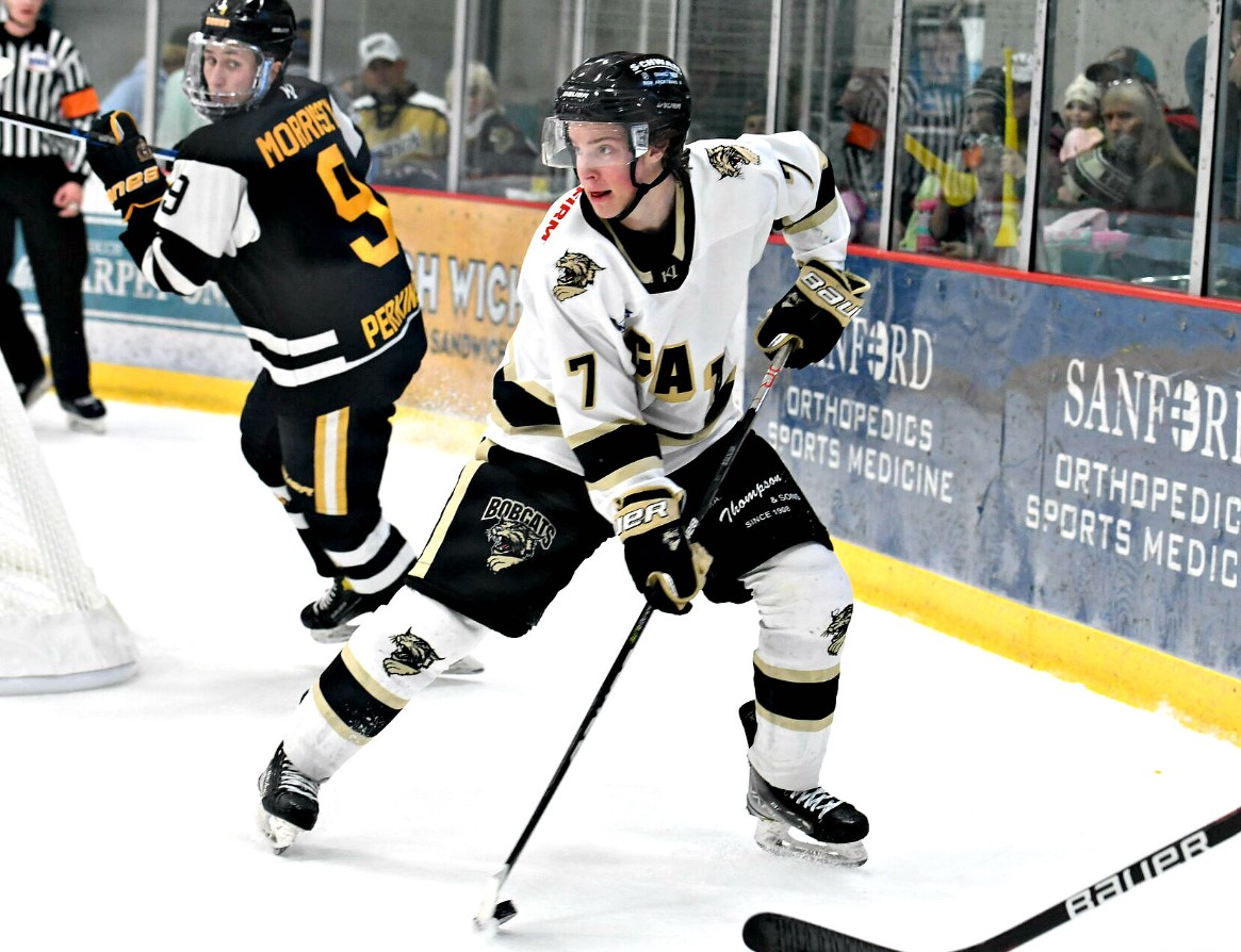 MEN'S HOCKEY: Bismarck Bobcats points leader Evan Hunter commits to Bemidji State - Bemidji Pioneer | News, weather and sports from Bemidji, Minnesota - Vimarsana News