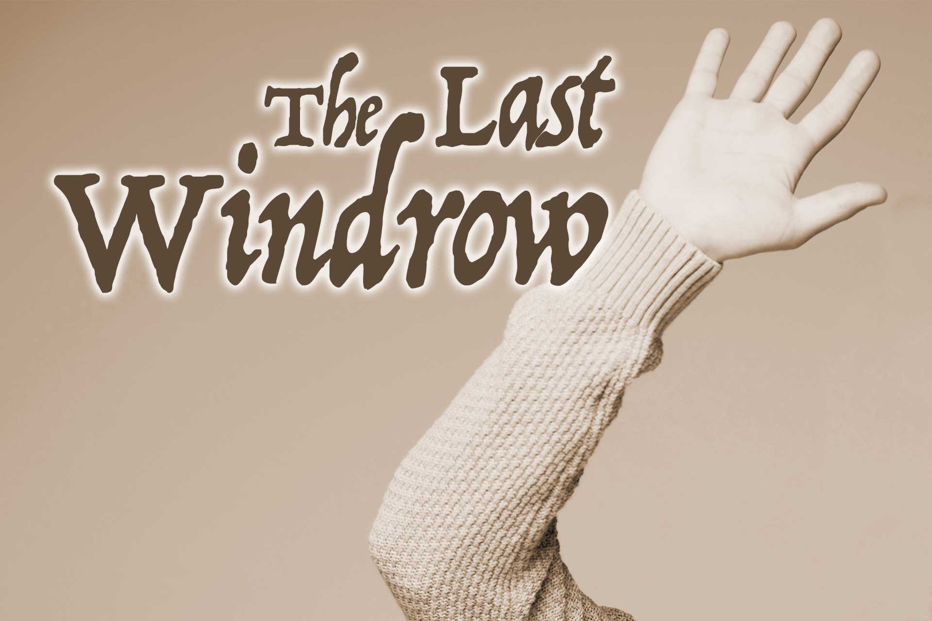 The Last Windrow: Organizing a festival isn't always as easy as it sounds - Vimarsana News
