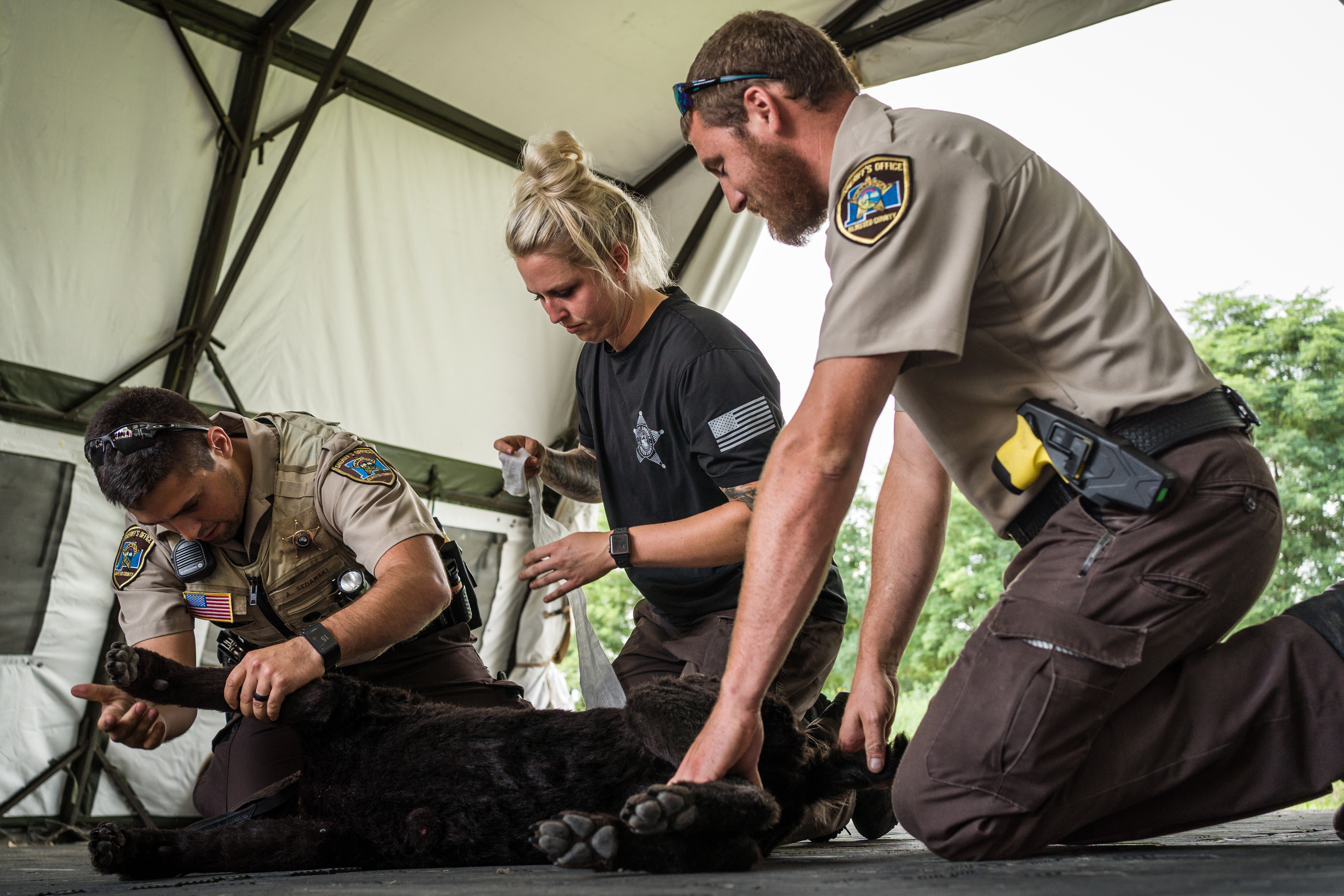 Mayo Clinic provides K-9 medical training to law enforcement - Vimarsana News