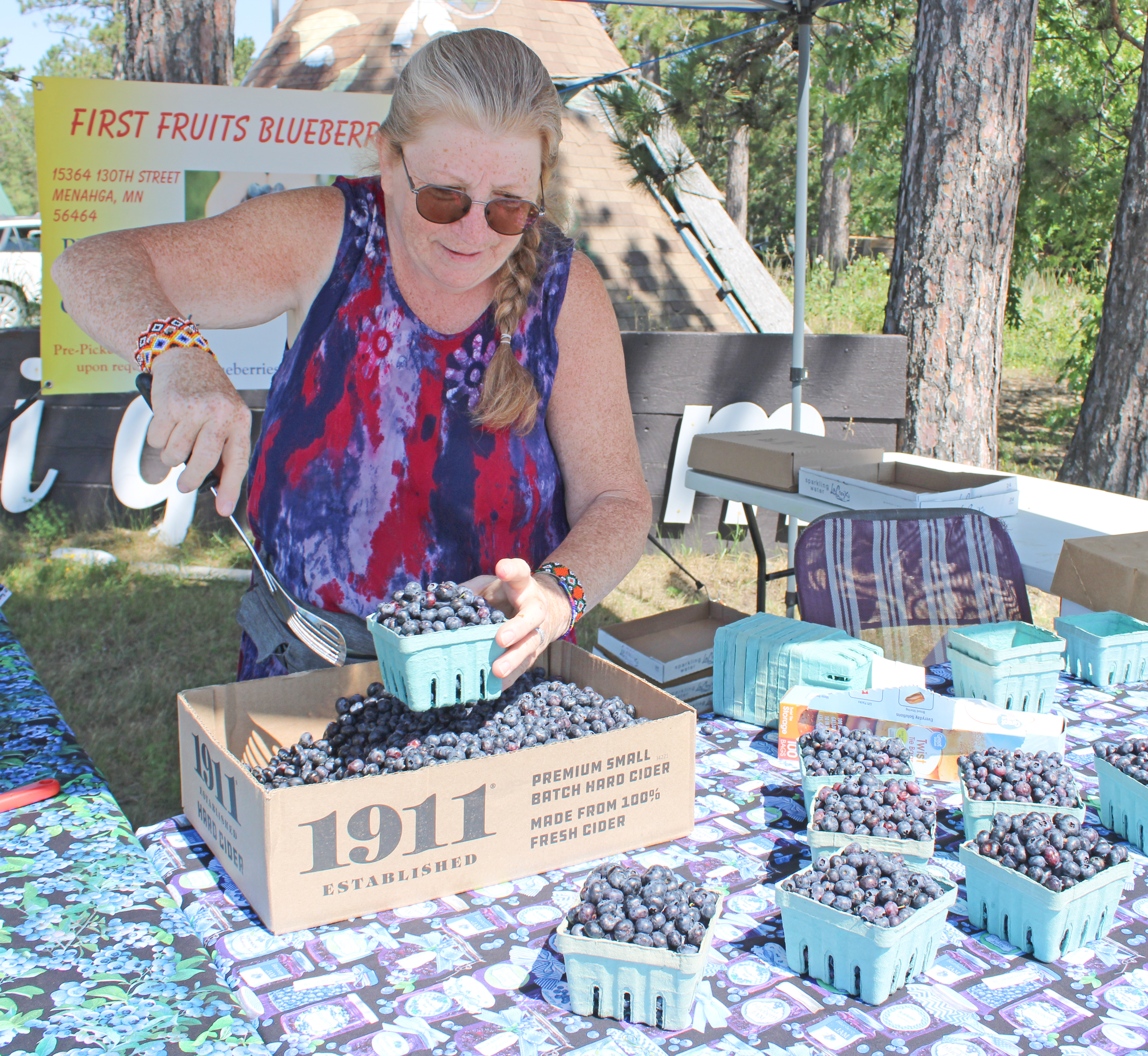 Bountiful blueberries: Lake George lauds the luscious berry - Vimarsana News
