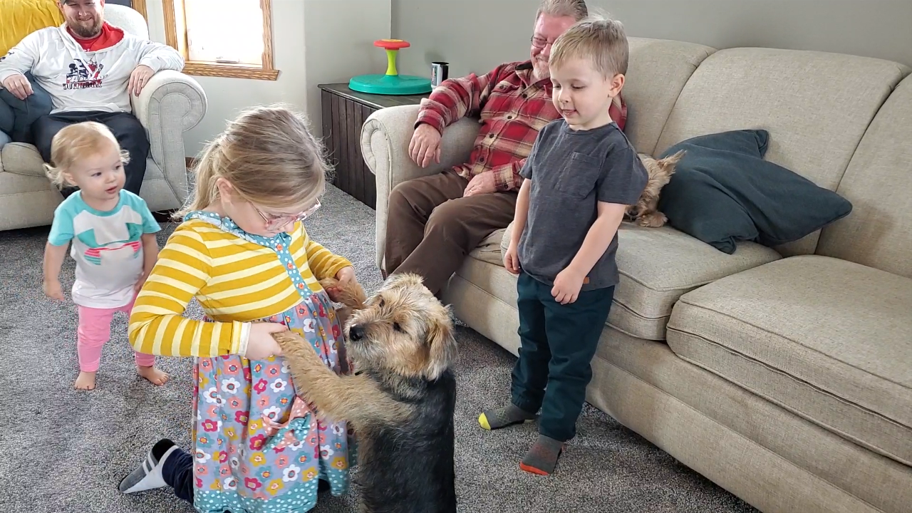 'It was just magic:' Grandpa drives stray dog from Texas to Fargo to surprise grandkids - Vimarsana News