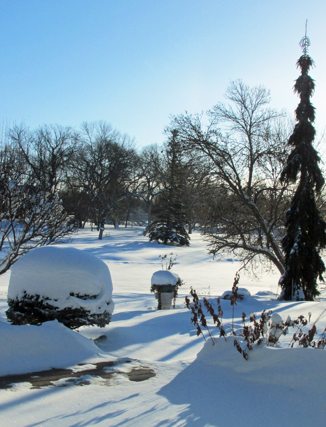 Enjoy a very happy New Year! - Vimarsana News