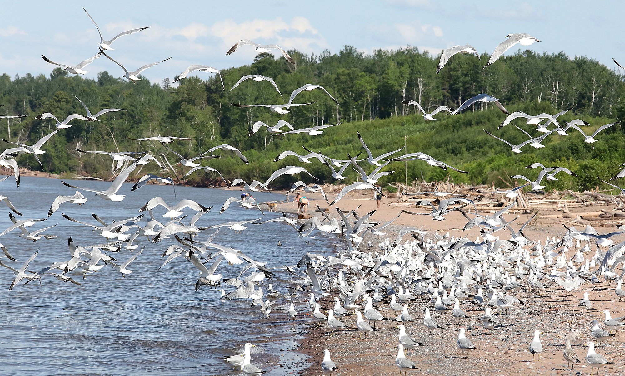 Wisconsin Point Committee votes to address beach erosion - Vimarsana News
