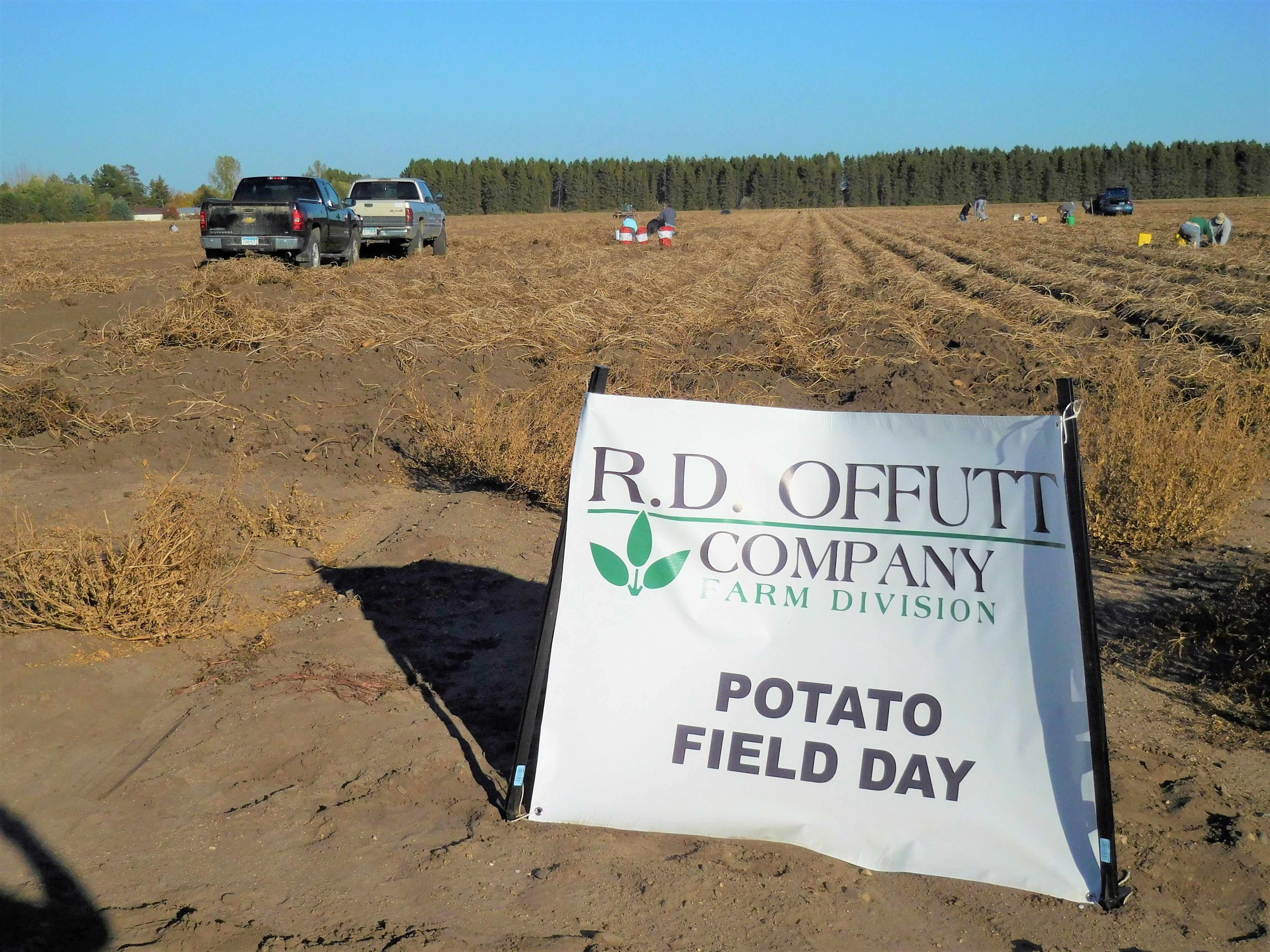 RDO Potato Field Days are Sept. 30-Oct. 2 - Vimarsana News