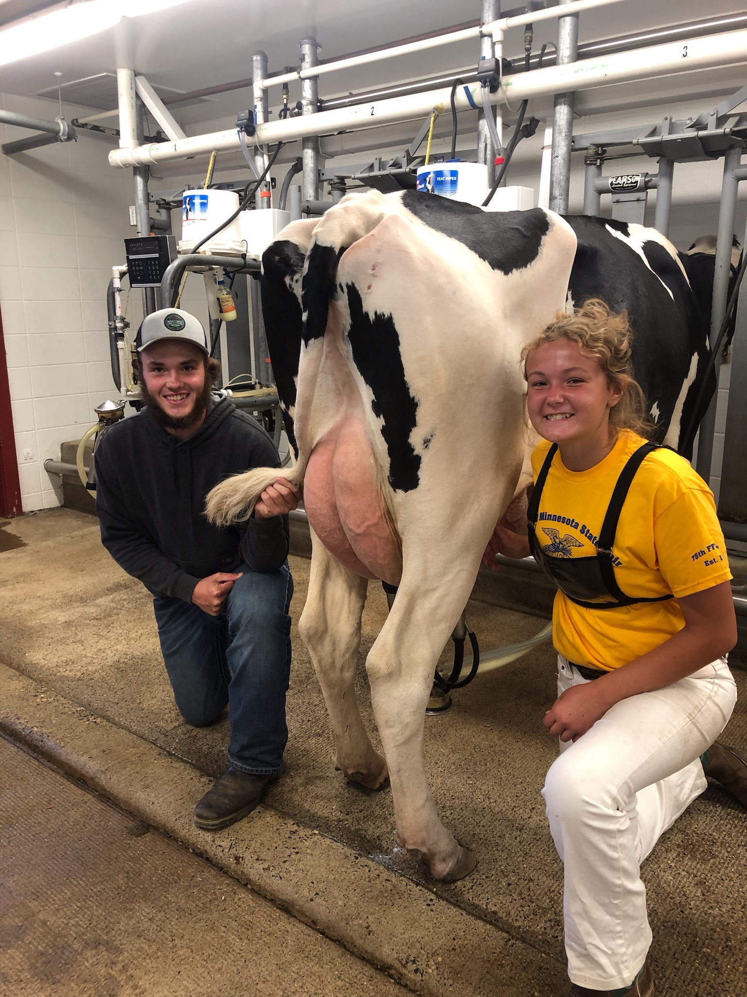 Perham FFA wraps up Minnesota State Fair with wins - Vimarsana News