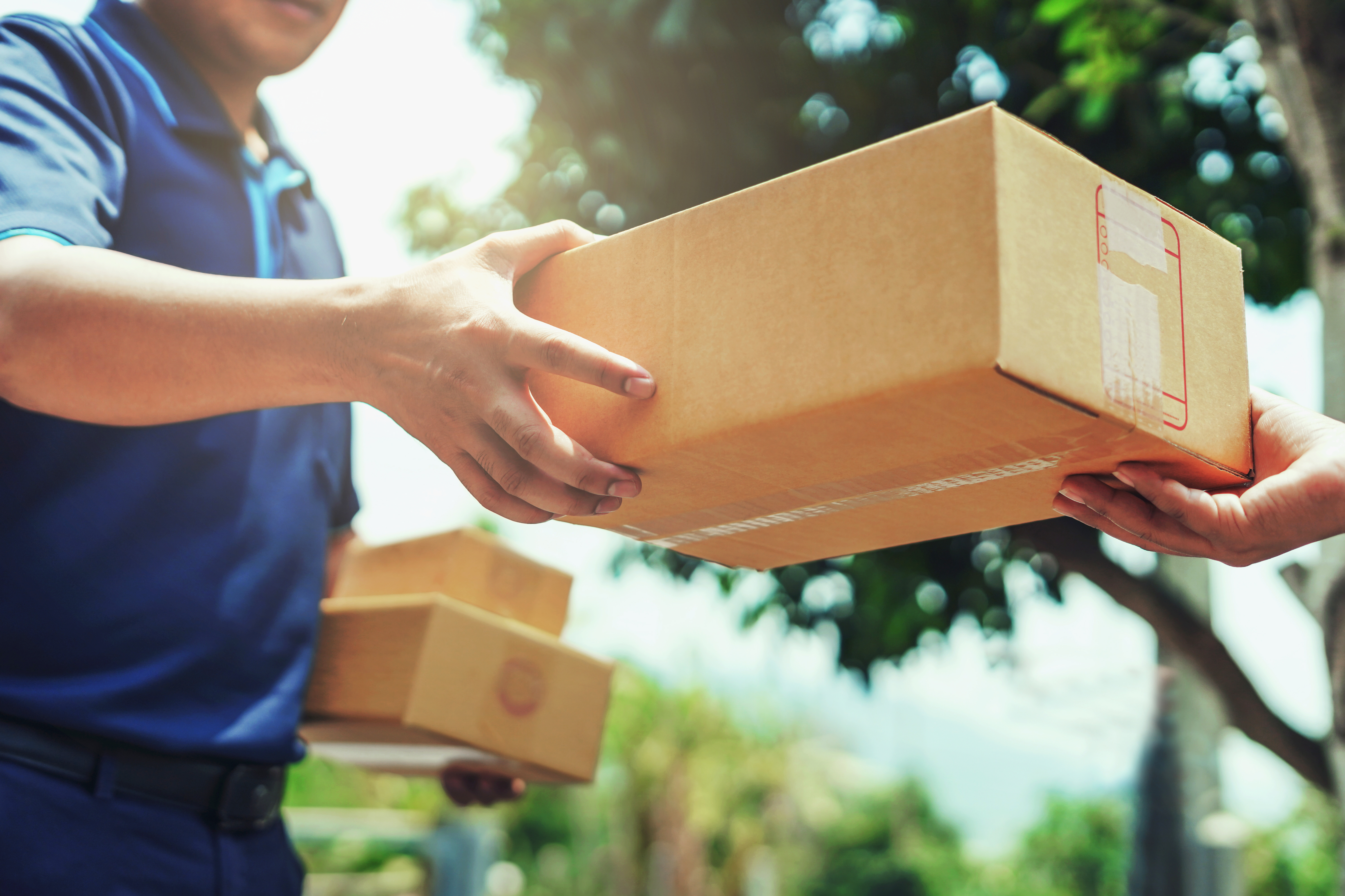 USPS: Mail delivery in Park Rapids running on time - Vimarsana News