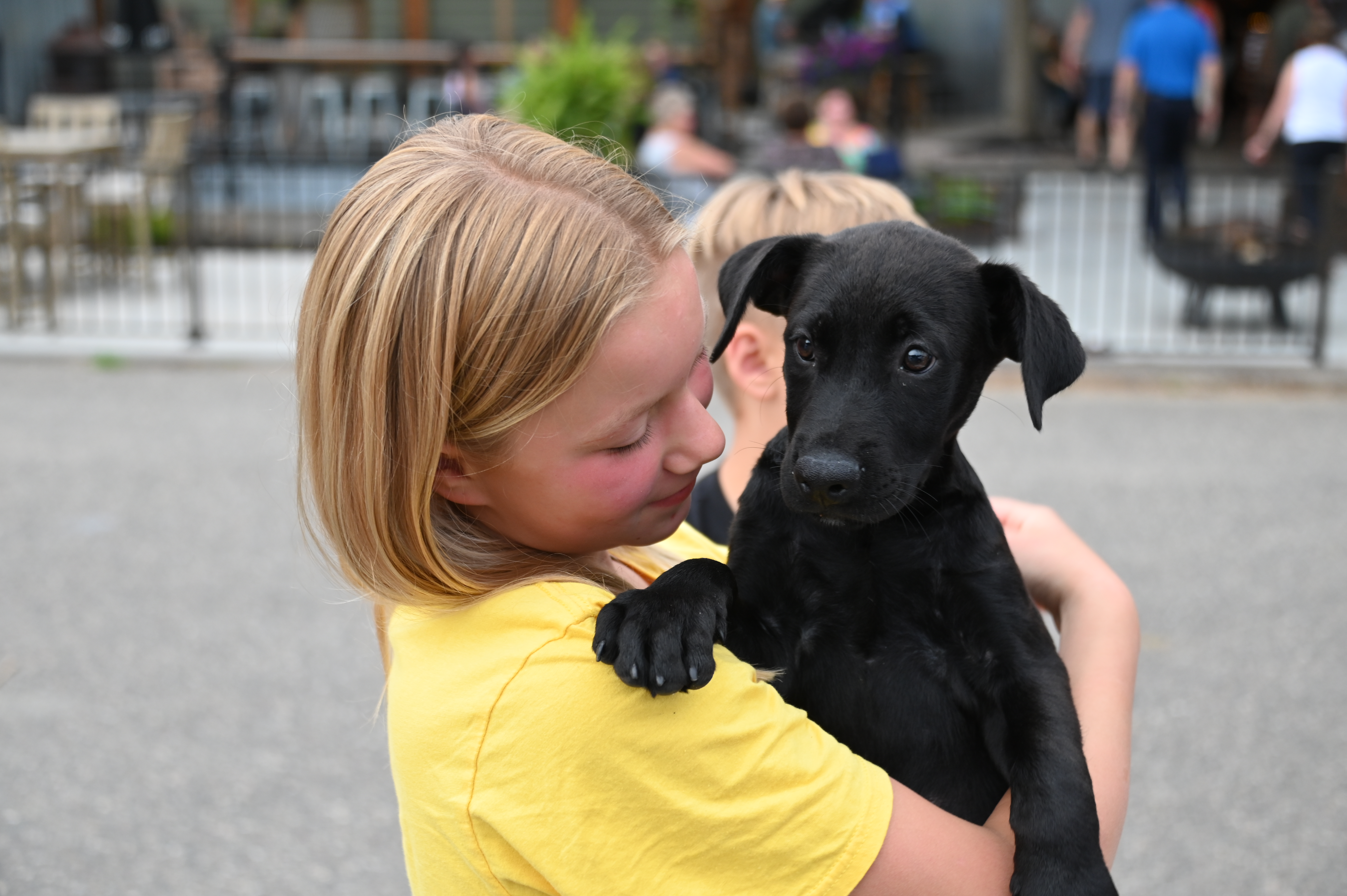 Dogs join movie night at The Woods - Vimarsana News