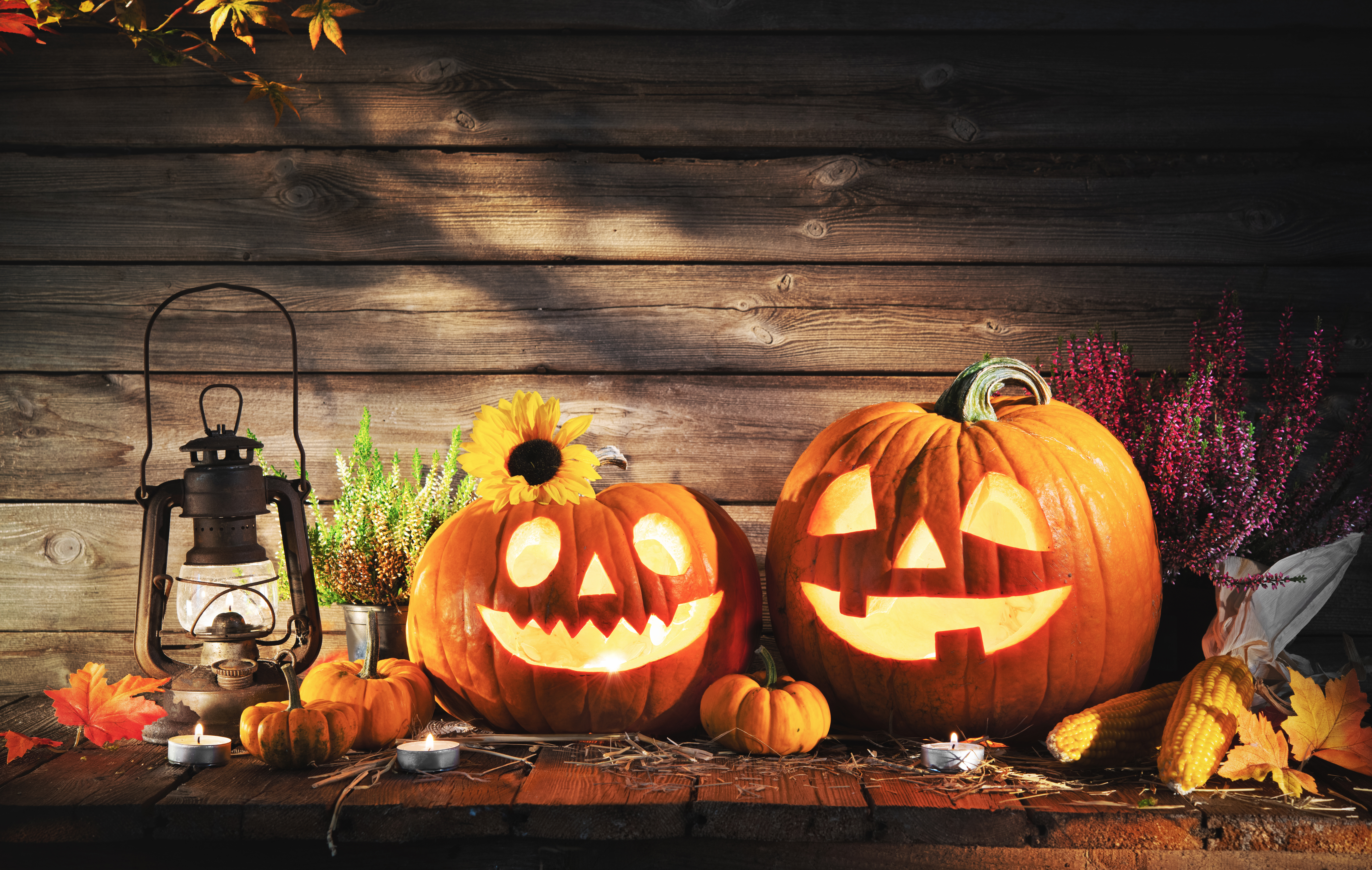 Happenings around the Perham area, Oct. 27-Nov. 6 - Vimarsana News