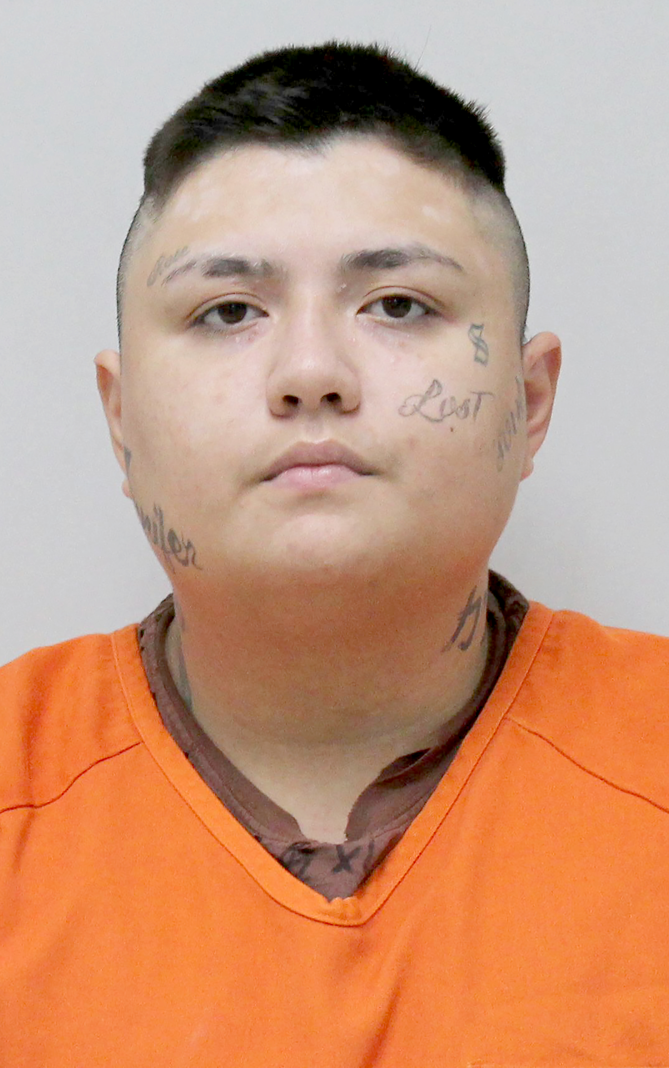 Woman led officers on a high-speed chase down residential streets after reported theft from Worthington store - Vimarsana News