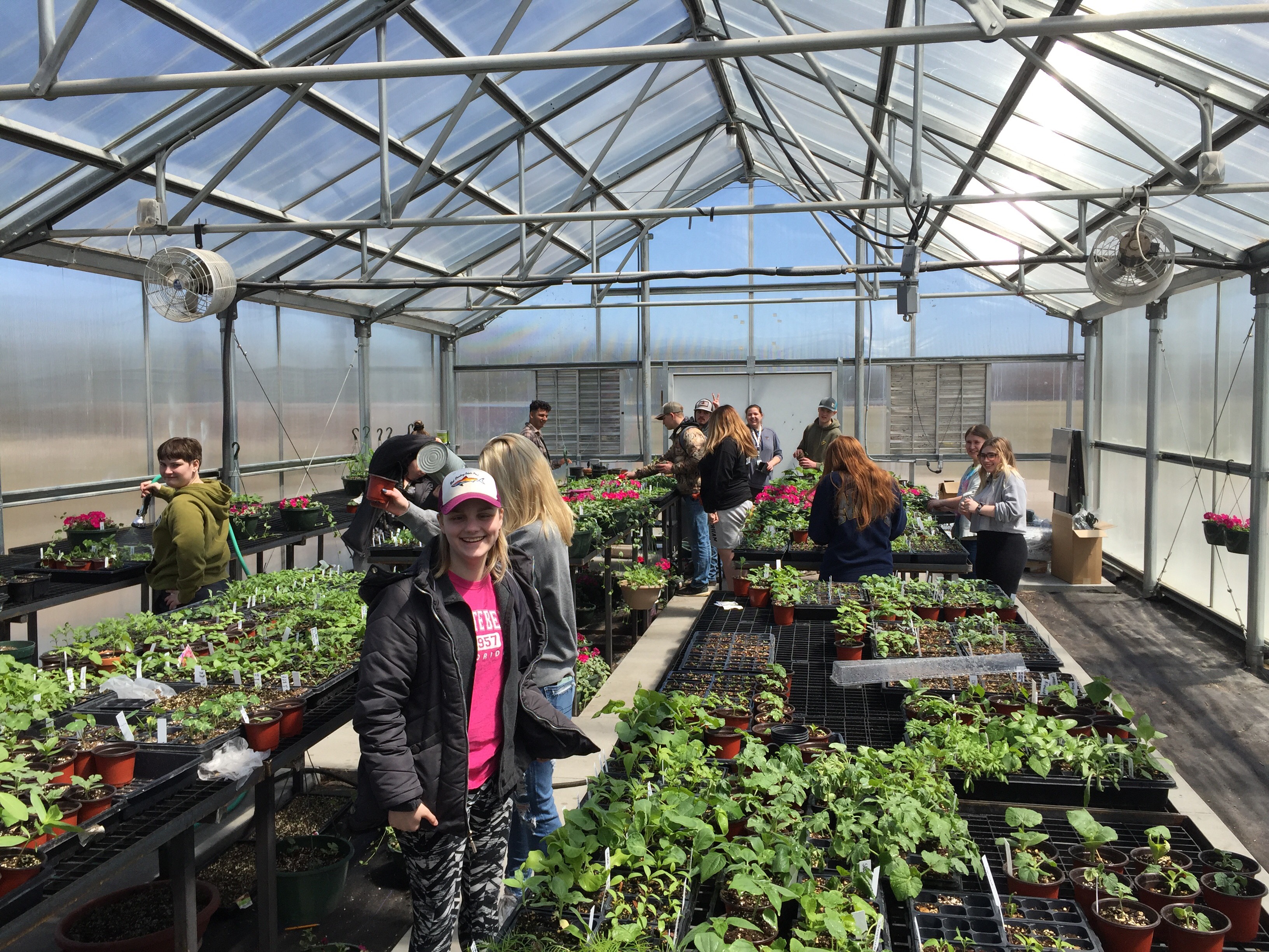 'This is my happy place': Perham High School greenhouse is back on-site and in full bloom - Vimarsana News