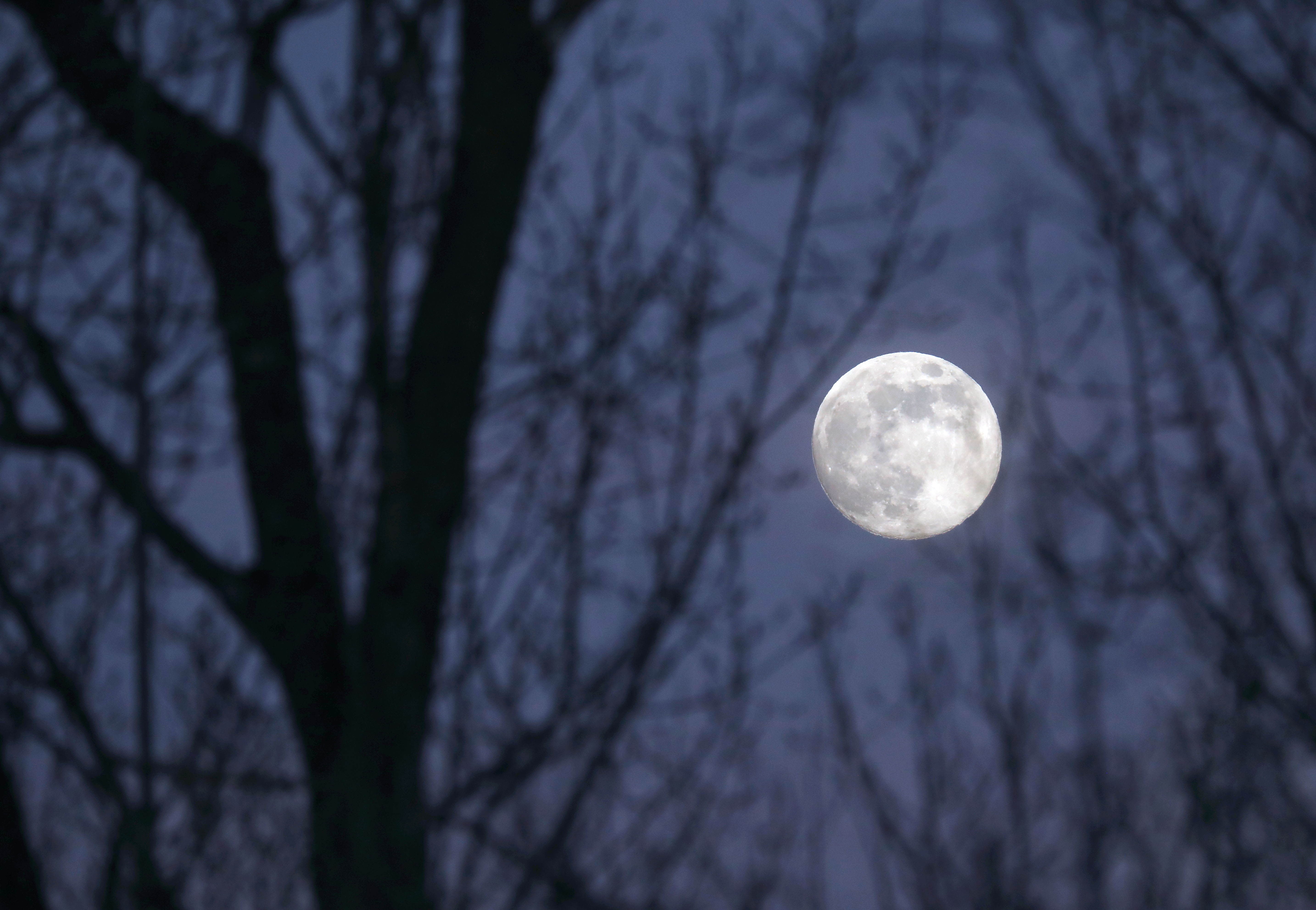 Astro Bob: Full Wolf Moon turns night into day - Vimarsana News