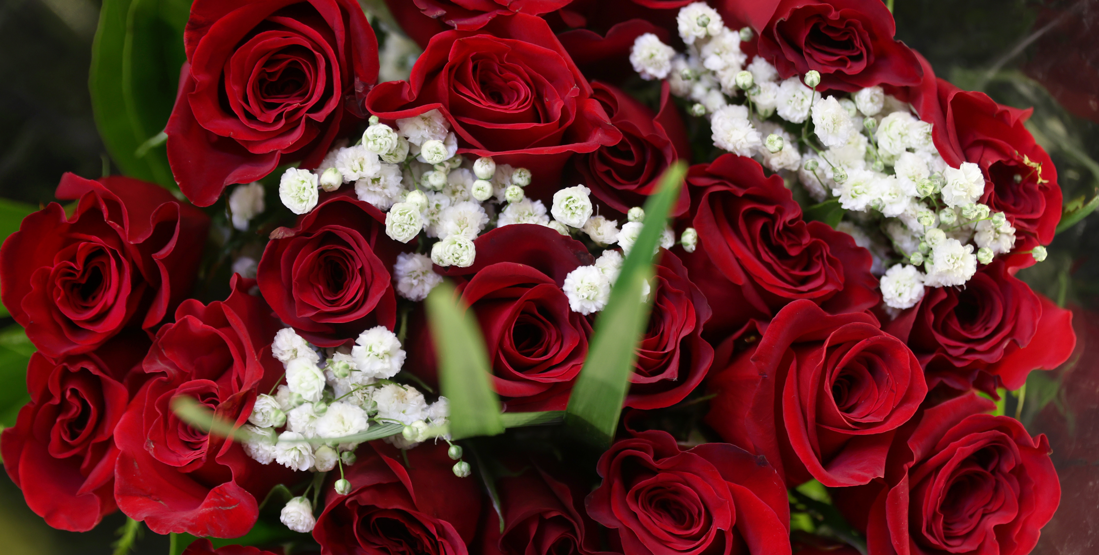 PHOTOS: Roses await loved ones as Valentine's Day draws near in Worthington - Vimarsana News