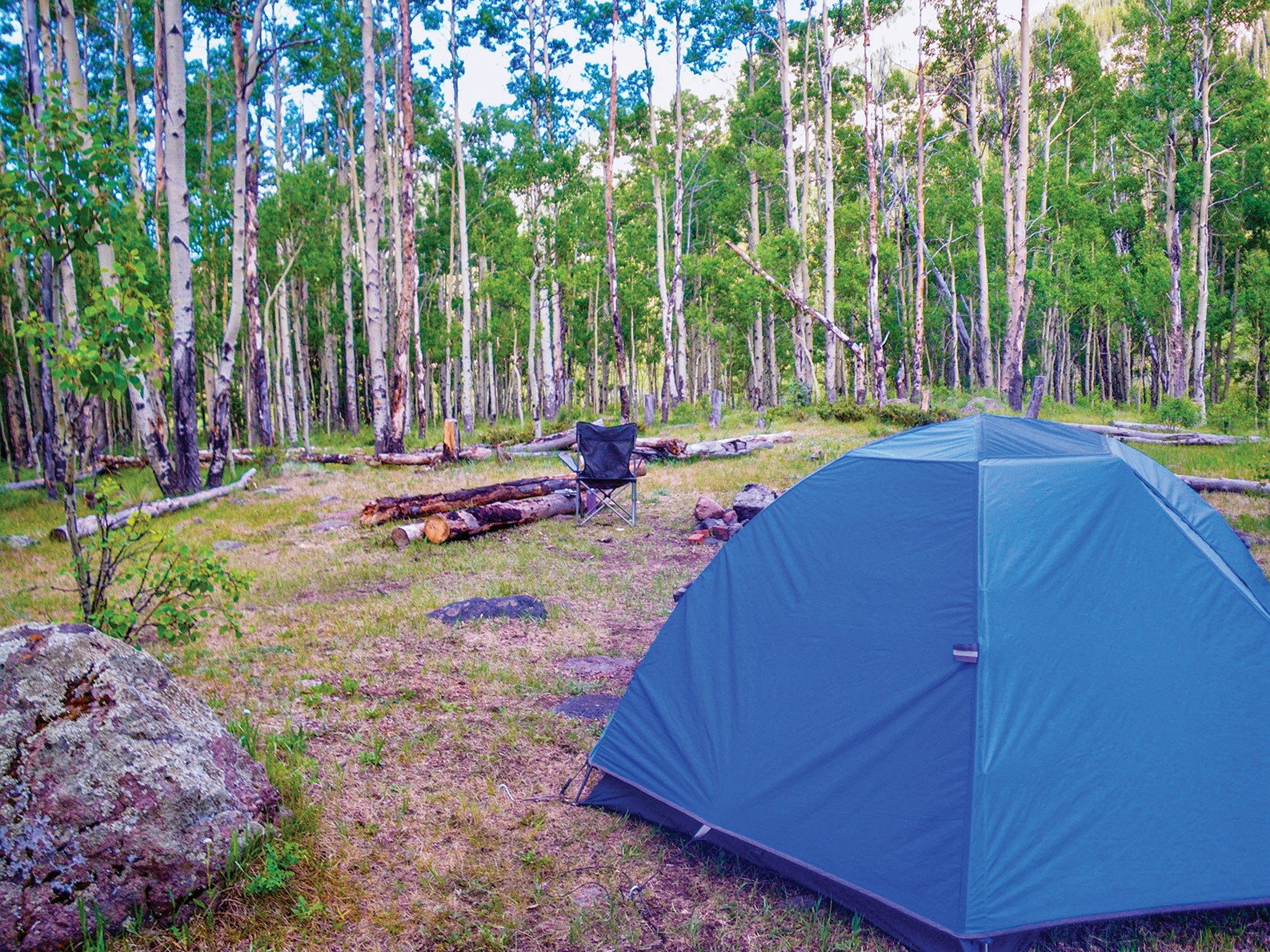Happy Dancing Turtle offers youth camping trips - Vimarsana News